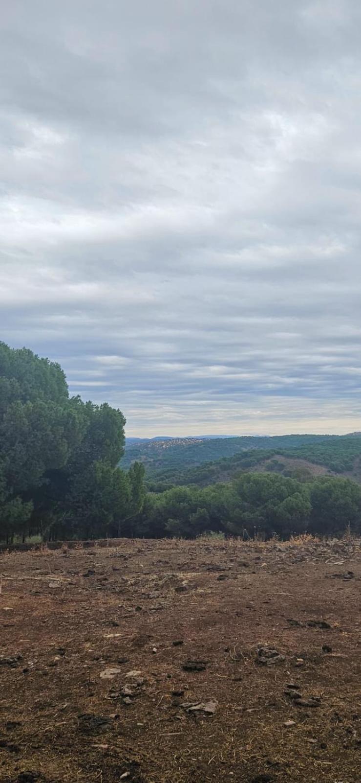 Alojamiento El Camarin Baños de la Encina 外观 照片